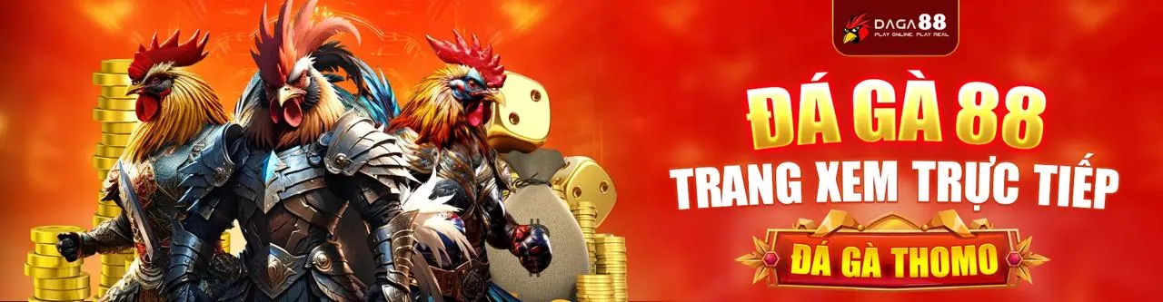 Tổng quan nền tảng app roobet, trải nghiệm cá cược di động