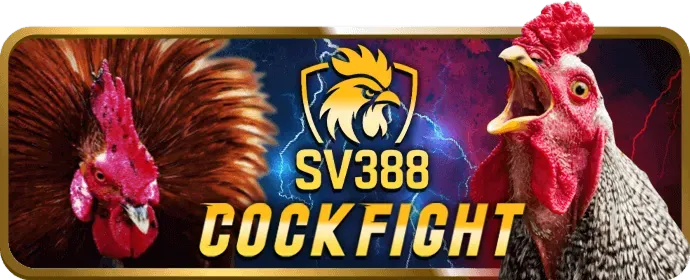 Cá cược bóng rổ và tennis trên app roobet